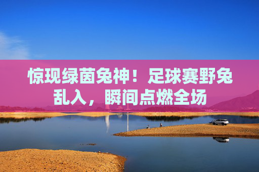 惊现绿茵兔神！足球赛野兔乱入，瞬间点燃全场