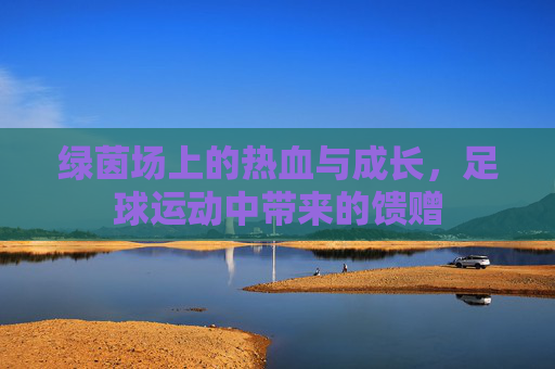 绿茵场上的热血与成长，足球运动中带来的馈赠
