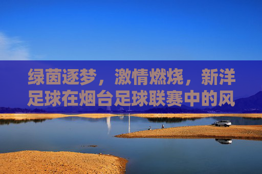绿茵逐梦，激情燃烧，新洋足球在烟台足球联赛中的风采