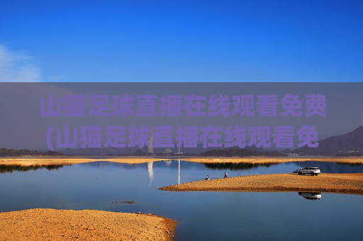 山猫足球直播在线观看免费(山猫足球直播在线观看免费视频)