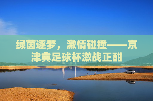 绿茵逐梦,激情碰撞——京津冀足球杯激战正酣