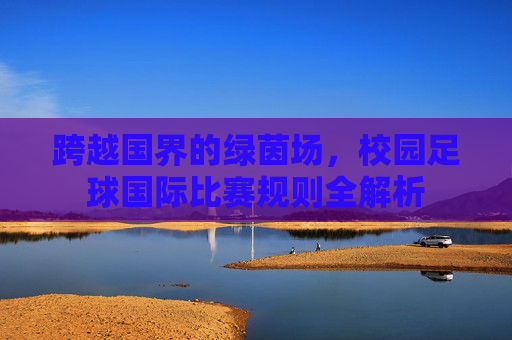 跨越国界的绿茵场，校园足球国际比赛规则全解析