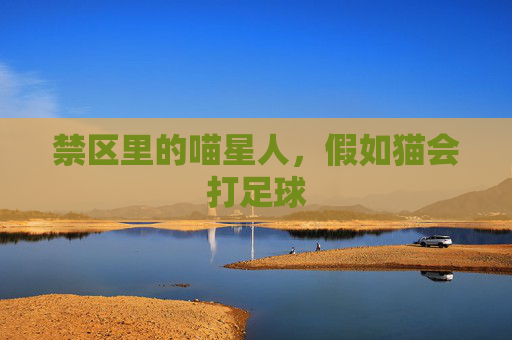 禁区里的喵星人，假如猫会打足球