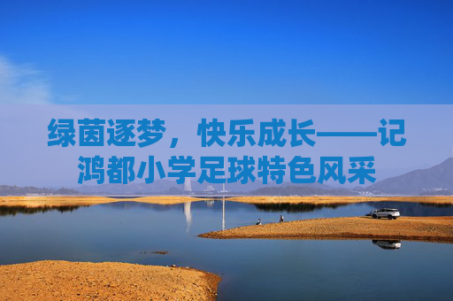绿茵逐梦,快乐成长——记鸿都小学足球特色风采