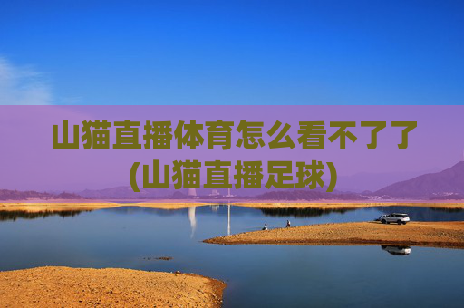 山猫直播体育怎么看不了了(山猫直播足球)