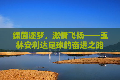 绿茵逐梦，激情飞扬——玉林安利达足球的奋进之路