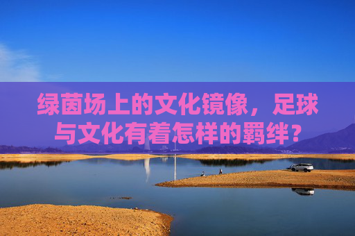 绿茵场上的文化镜像，足球与文化有着怎样的羁绊？