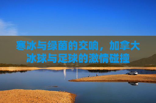 寒冰与绿茵的交响，加拿大冰球与足球的激情碰撞