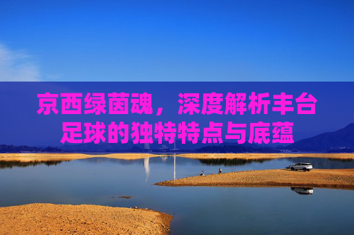 京西绿茵魂，深度解析丰台足球的独特特点与底蕴