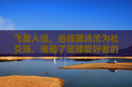 飞盘入侵，当绿茵场沦为社交场，谁动了足球爱好者的地盘？