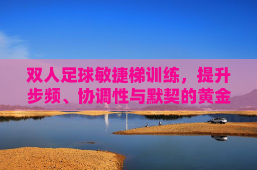 双人足球敏捷梯训练,提升步频、协调性与默契的黄金法则