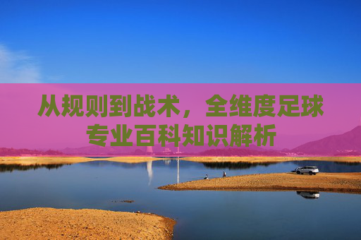 从规则到战术,全维度足球专业百科知识解析
