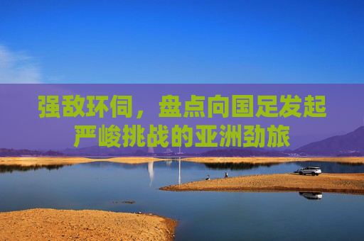 强敌环伺,盘点向国足发起严峻挑战的亚洲劲旅