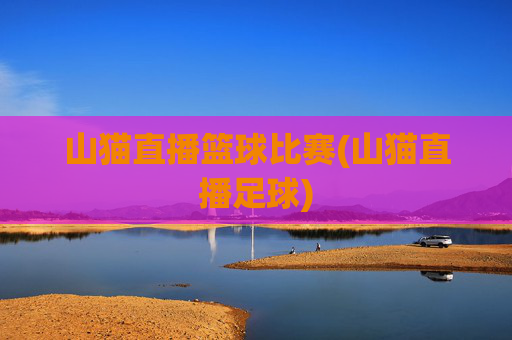 山猫直播篮球比赛(山猫直播足球)