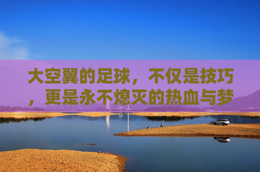 大空翼的足球,不仅是技巧,更是永不熄灭的热血与梦想