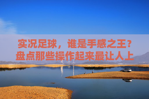 实况足球,谁是手感之王?盘点那些操作起来最让人上头的门将