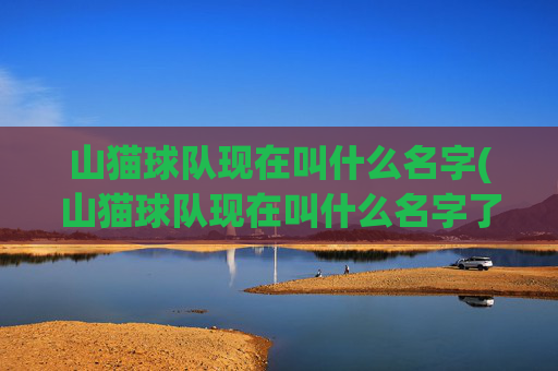 山猫球队现在叫什么名字(山猫球队现在叫什么名字了)