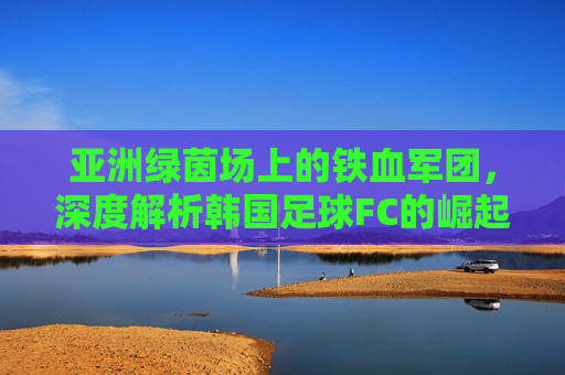 亚洲绿茵场上的铁血军团,深度解析韩国足球FC的崛起与全球影响力