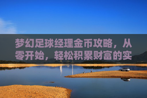 梦幻足球经理金币攻略,从零开始,轻松积累财富的实用指南