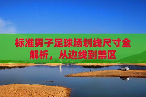标准男子足球场划线尺寸全解析,从边线到禁区