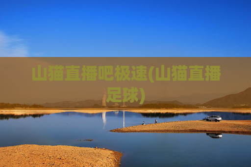山猫直播吧极速(山猫直播足球)