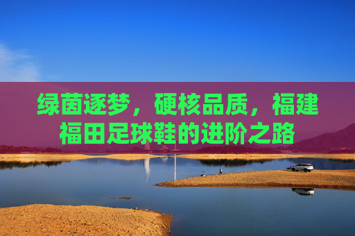 绿茵逐梦,硬核品质,福建福田足球鞋的进阶之路