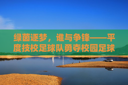 绿茵逐梦，谁与争锋——平度技校足球队勇夺校园足球赛冠军
