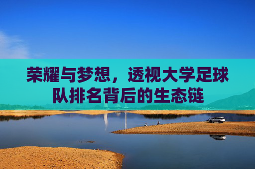 荣耀与梦想,透视大学足球队排名背后的生态链