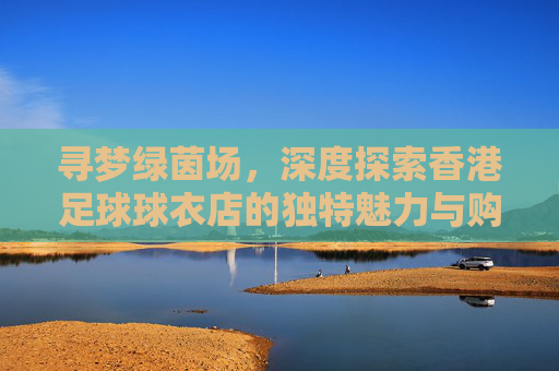 寻梦绿茵场,深度探索香港足球球衣店的独特魅力与购物指南