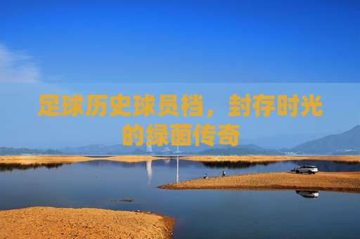 足球历史球员档,封存时光的绿茵传奇