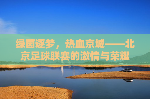 绿茵逐梦,热血京城——北京足球联赛的激情与荣耀