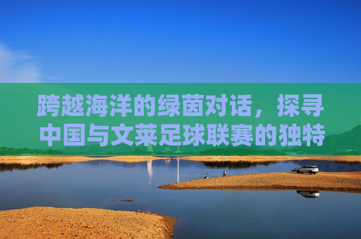 跨越海洋的绿茵对话,探寻中国与文莱足球联赛的独特魅力