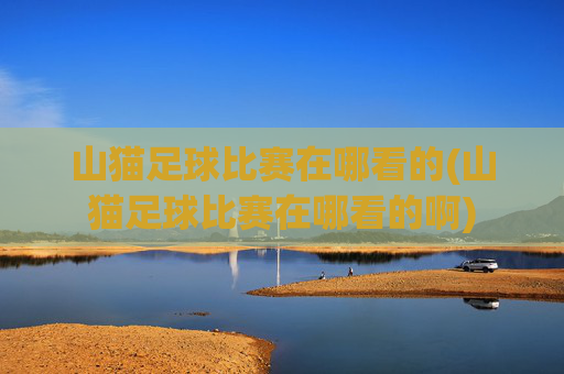 山猫足球比赛在哪看的(山猫足球比赛在哪看的啊)