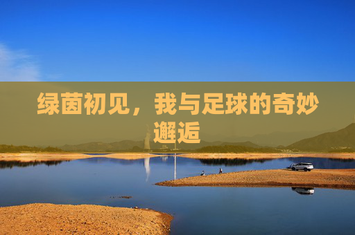 绿茵初见,我与足球的奇妙邂逅