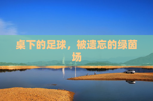 桌下的足球,被遗忘的绿茵场