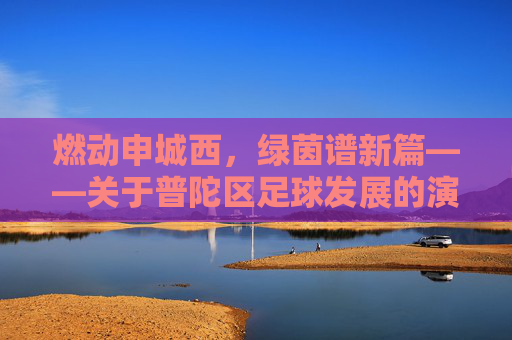燃动申城西,绿茵谱新篇——关于普陀区足球发展的演讲