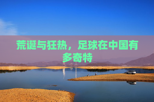 荒诞与狂热，足球在中国有多奇特