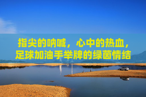 指尖的呐喊,心中的热血,足球加油手举牌的绿茵情结