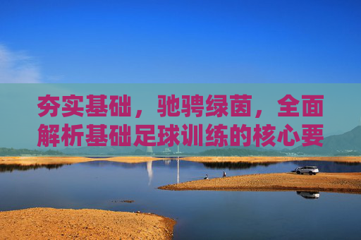 夯实基础,驰骋绿茵,全面解析基础足球训练的核心要素
