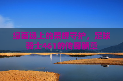 绿茵场上的荣耀守护,足球骑士461的传奇篇章
