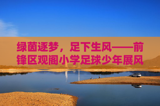 绿茵逐梦,足下生风——前锋区观阁小学足球少年展风采