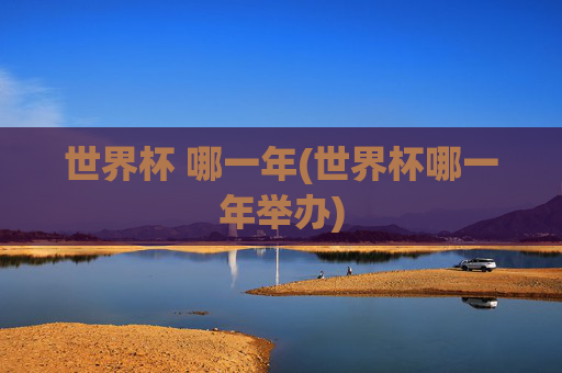 世界杯 哪一年(世界杯哪一年举办)