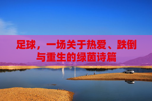 足球,一场关于热爱、跌倒与重生的绿茵诗篇