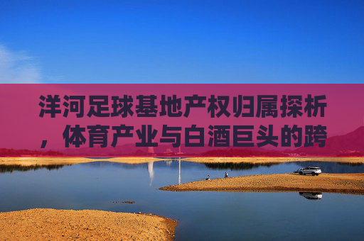 洋河足球基地产权归属探析,体育产业与白酒巨头的跨界融合