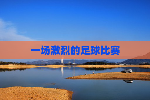一场激烈的足球比赛
