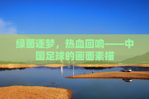 绿茵逐梦,热血回响——中国足球的画面素描