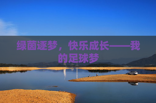 绿茵逐梦,快乐成长——我的足球梦