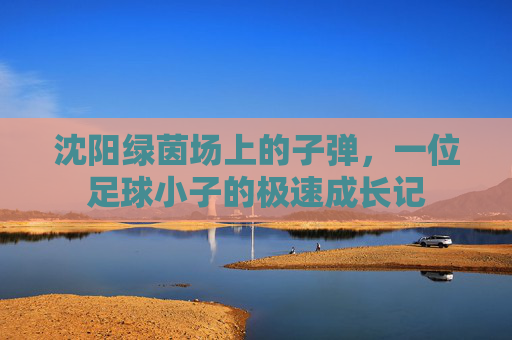 沈阳绿茵场上的子弹,一位足球小子的极速成长记
