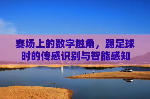 赛场上的数字触角,踢足球时的传感识别与智能感知