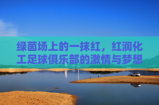 绿茵场上的一抹红,红润化工足球俱乐部的激情与梦想